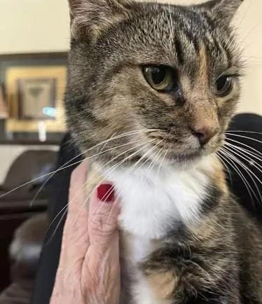 Cutie Pie Moore thumbnail 3