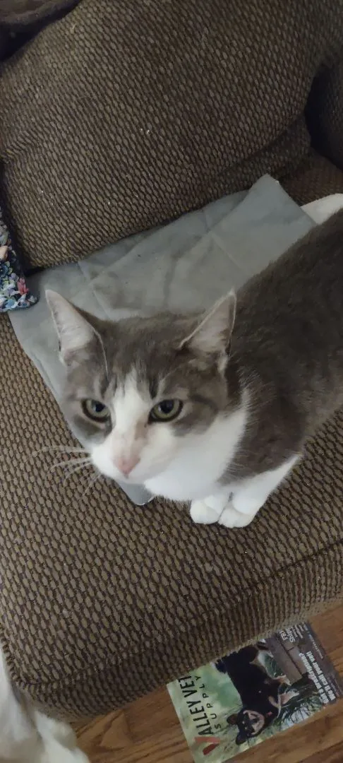 Baby Momma thumbnail 2