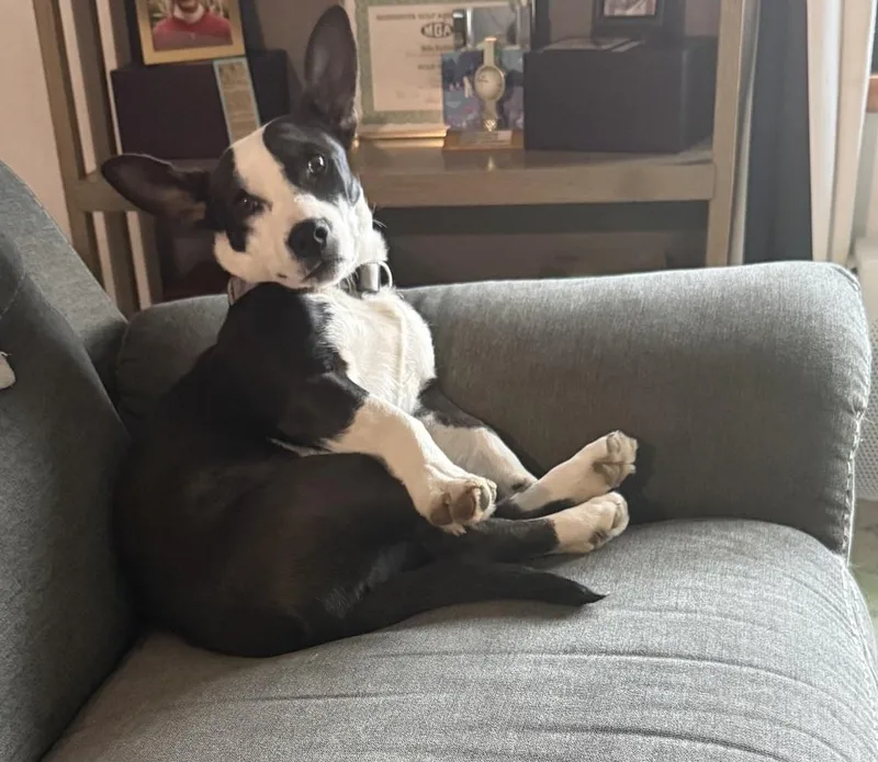 Lola