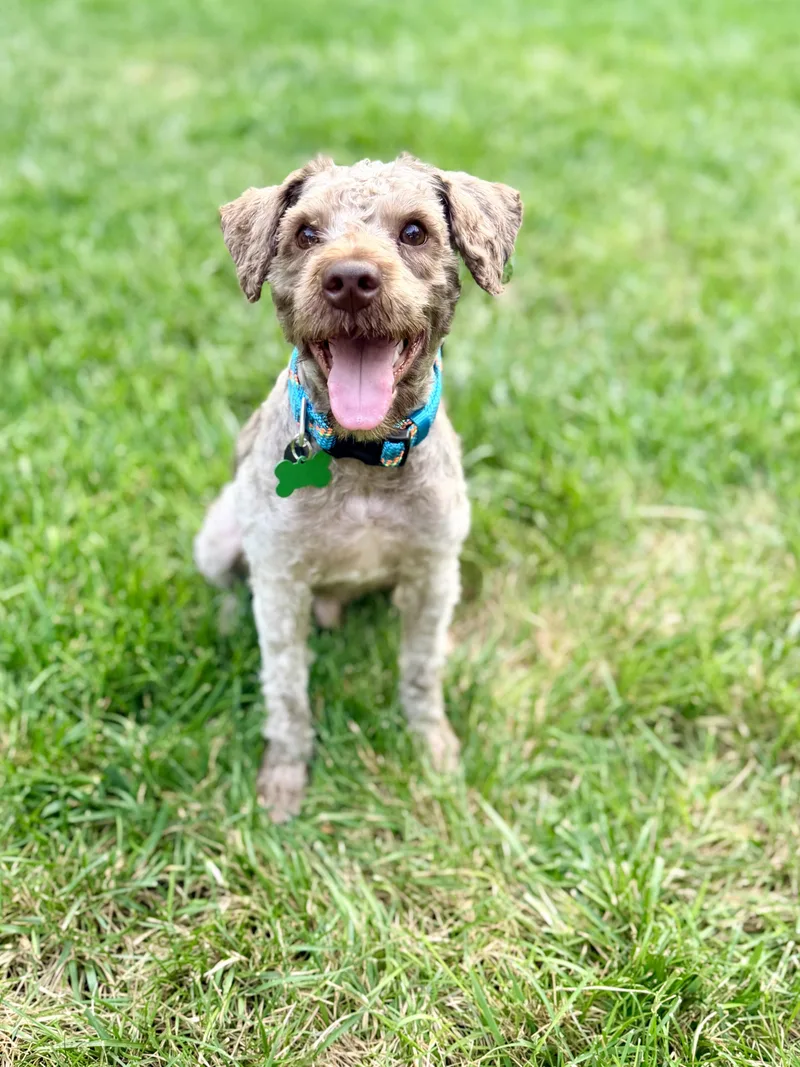 Jax
