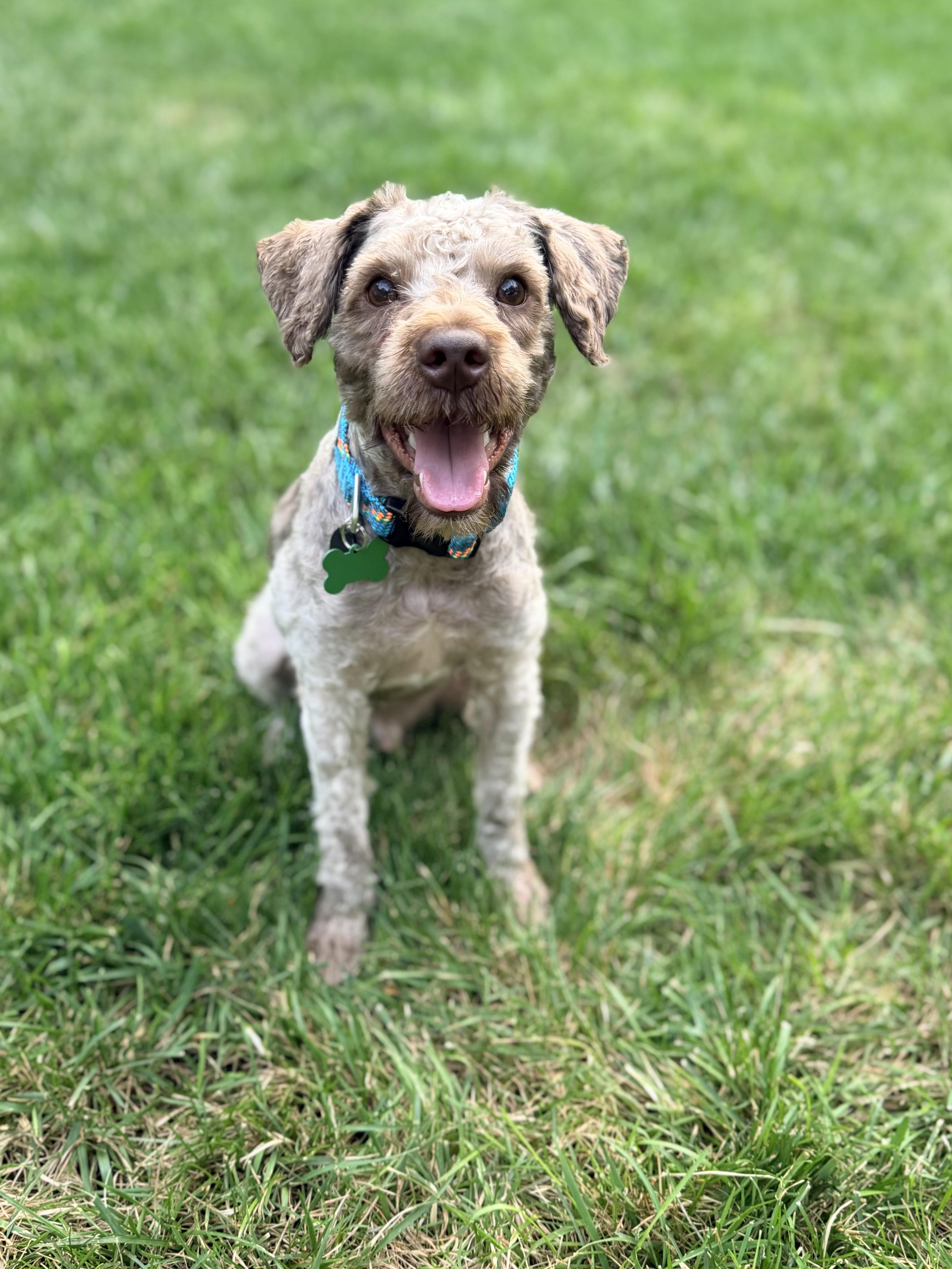 Jax thumbnail 2