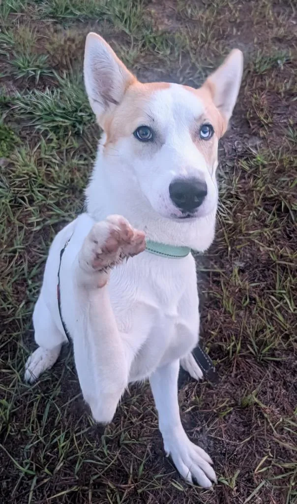 Khloelb Sweetie! thumbnail 2