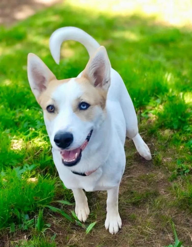 Khloelb Sweetie! thumbnail 3