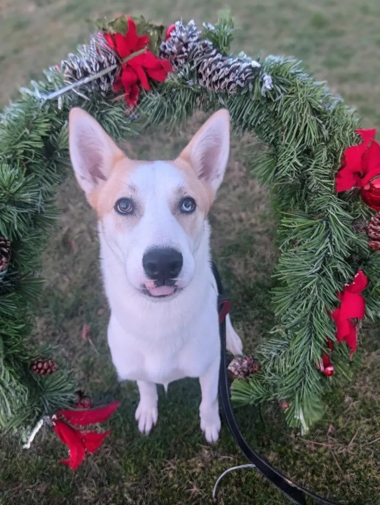 Khloelb Sweetie! thumbnail 4