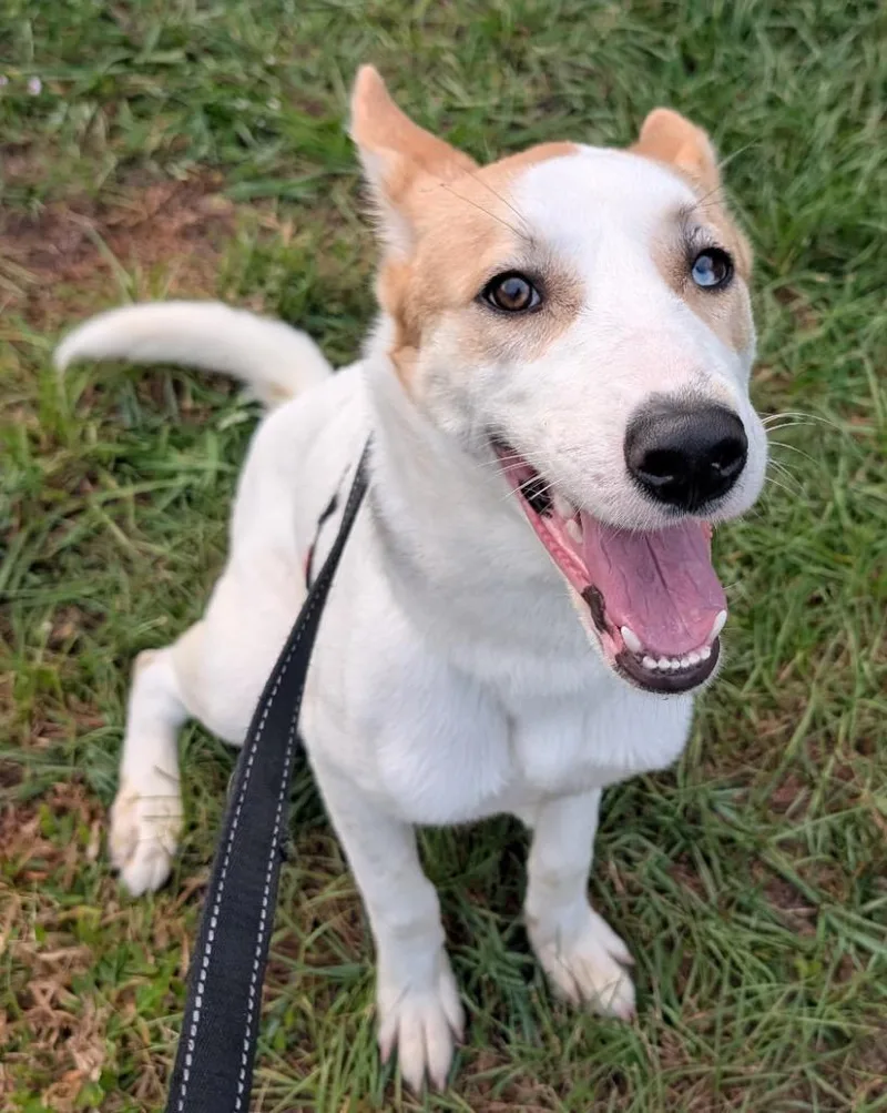 Khloelb Sweetie! thumbnail 5