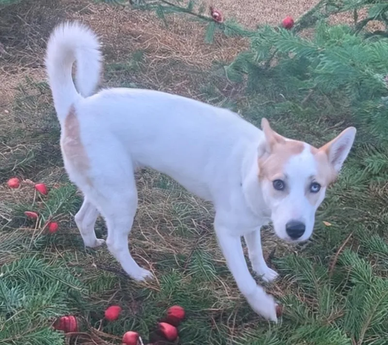 Khloelb Sweetie! thumbnail 6