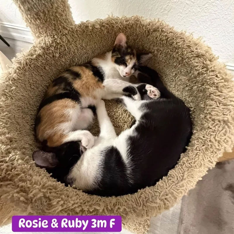 Rosie & Ruby