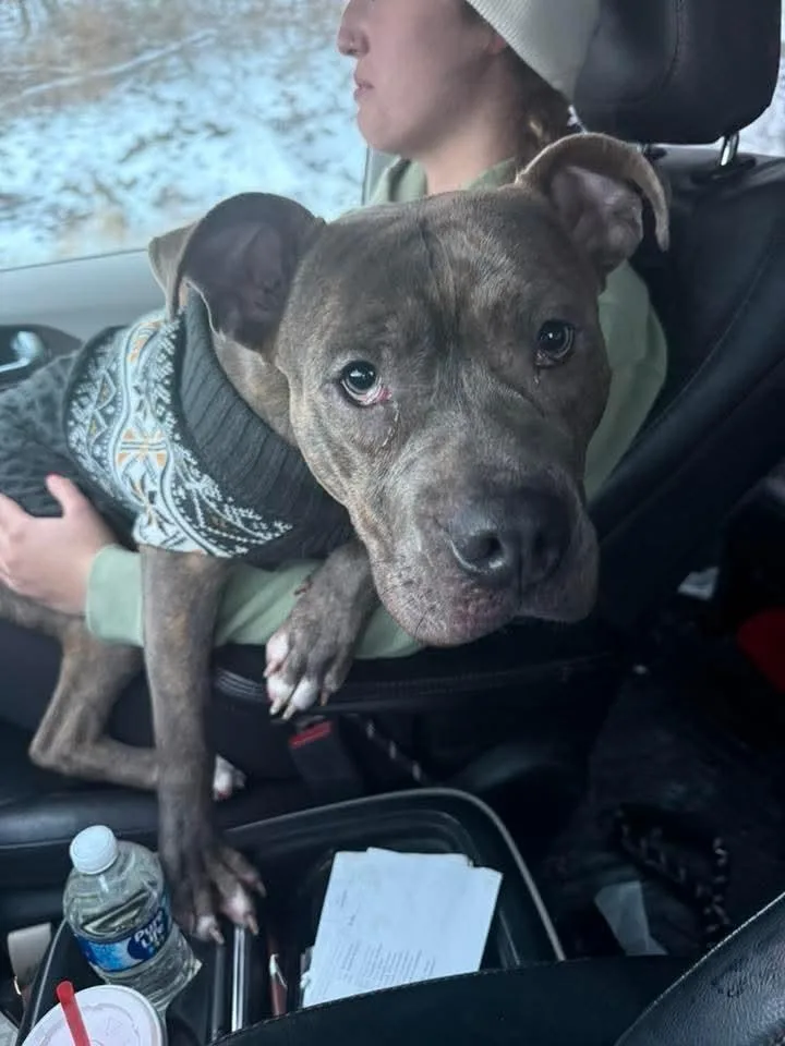 Frank Fka Finch thumbnail 2