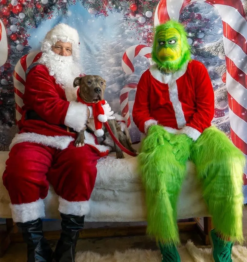 Frank Fka Finch thumbnail 3