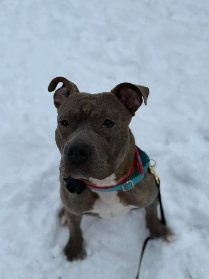 Frank Fka Finch thumbnail 4