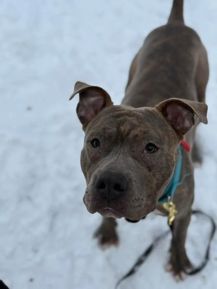 Frank Fka Finch thumbnail 5