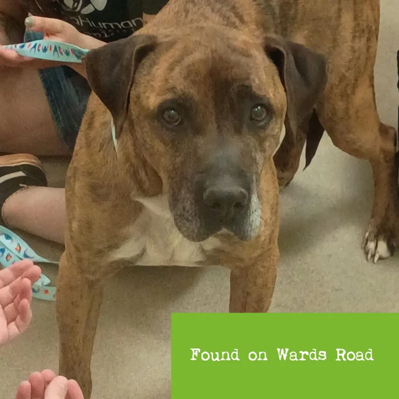 Motomoto thumbnail 2