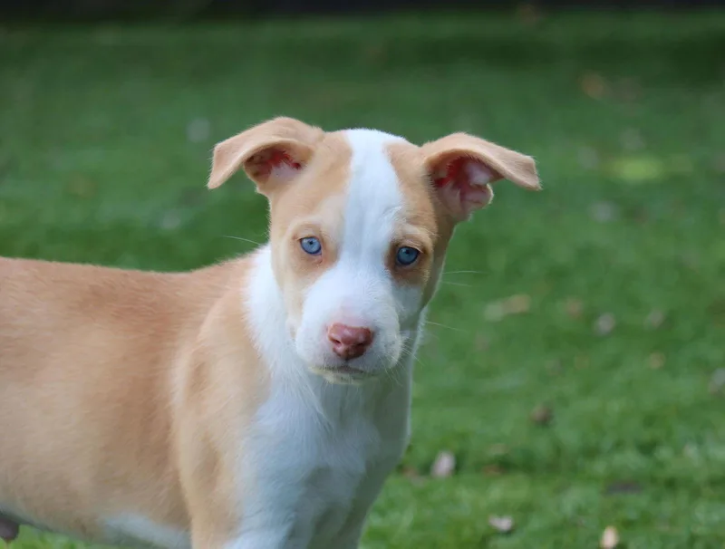 Whisper  Courtesy Listing thumbnail 2