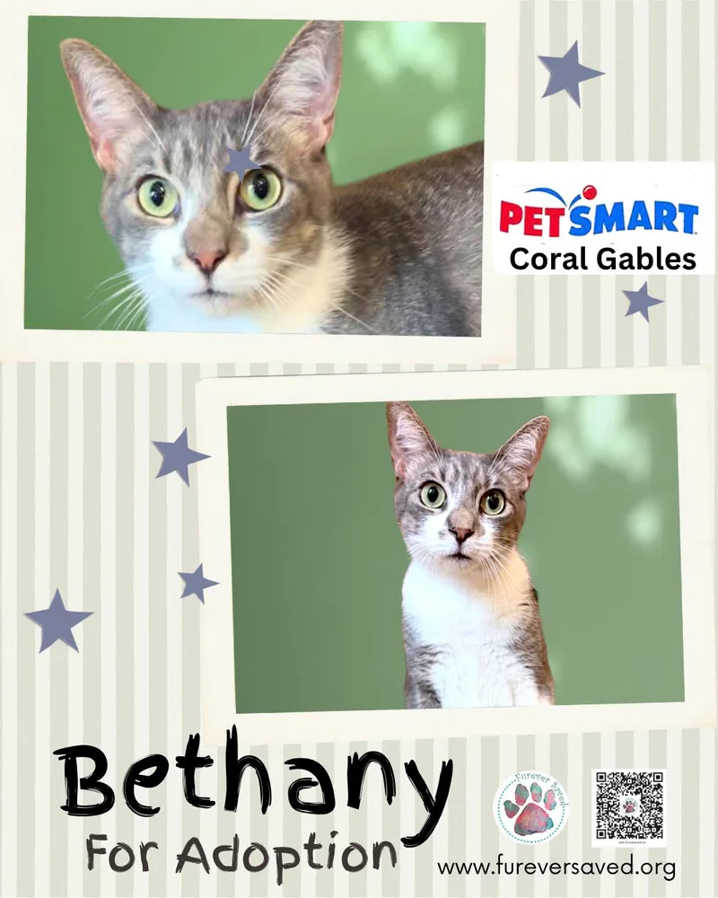 Bethany thumbnail 2