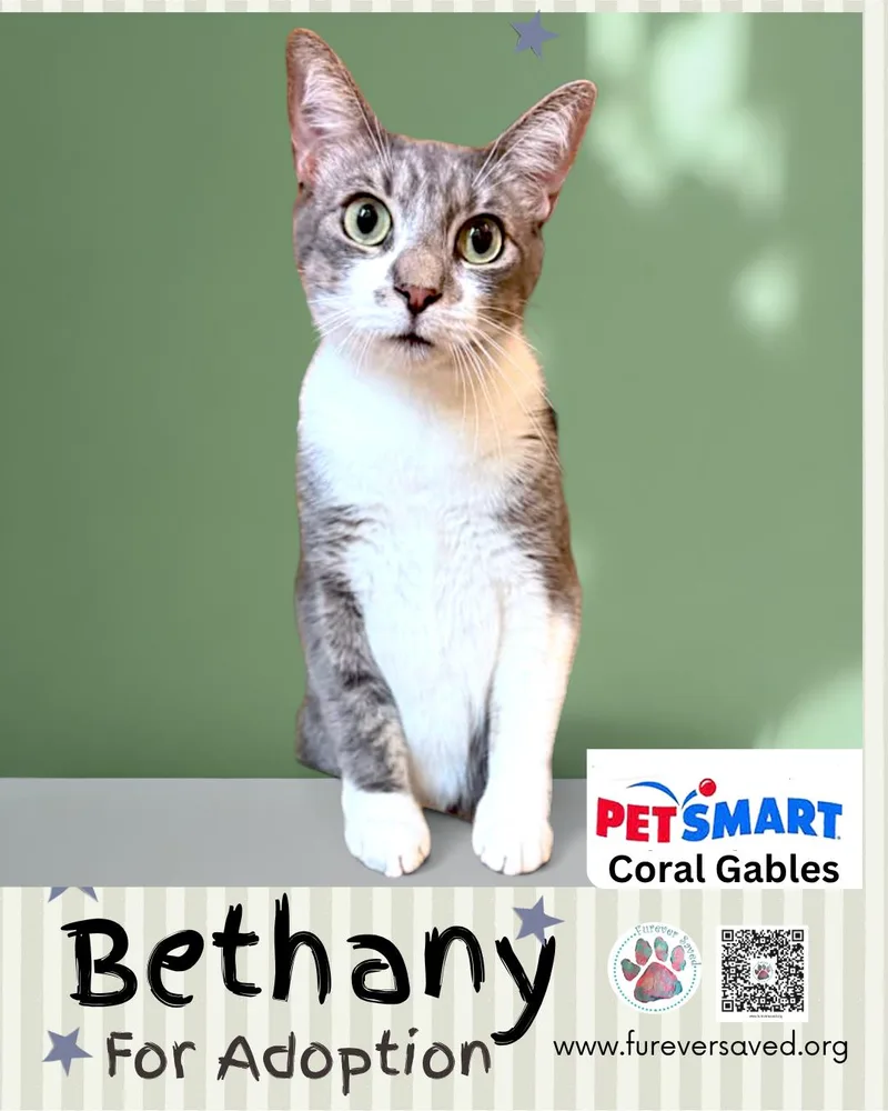 Bethany thumbnail 3