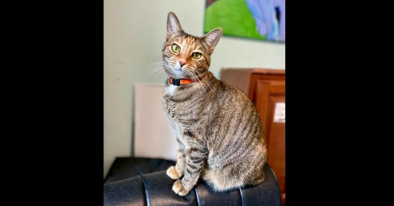 Valerie Aka Bella thumbnail 2