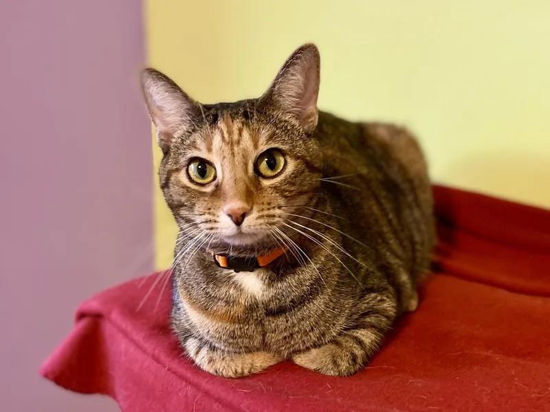 Valerie Aka Bella thumbnail 5