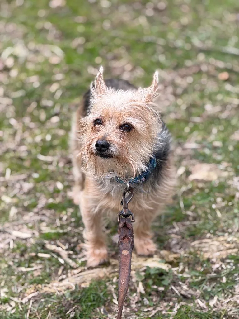 Nova Lou thumbnail 2