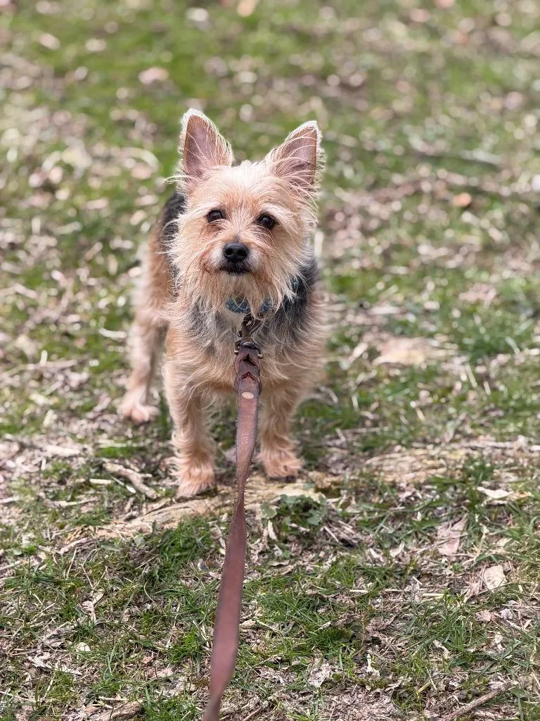 Nova Lou thumbnail 4