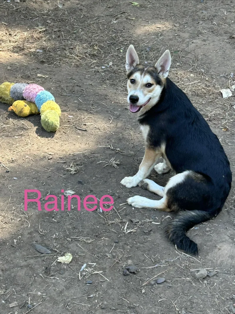 Rainee thumbnail 2