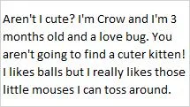 Crow thumbnail 2