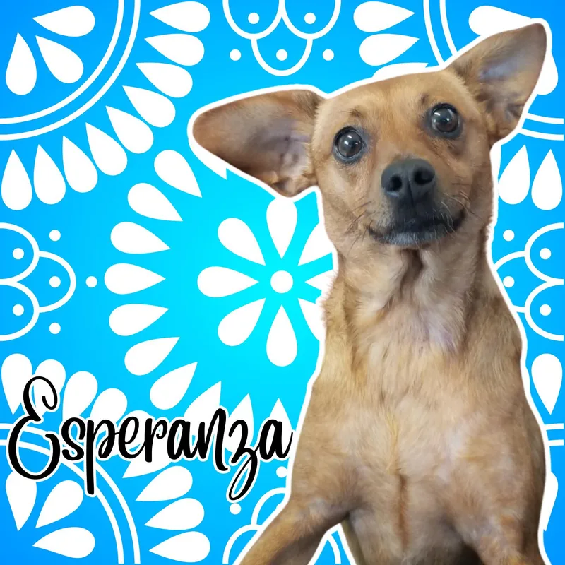 Esperanza thumbnail 2