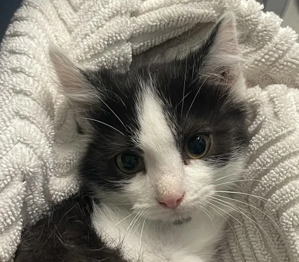 Benny