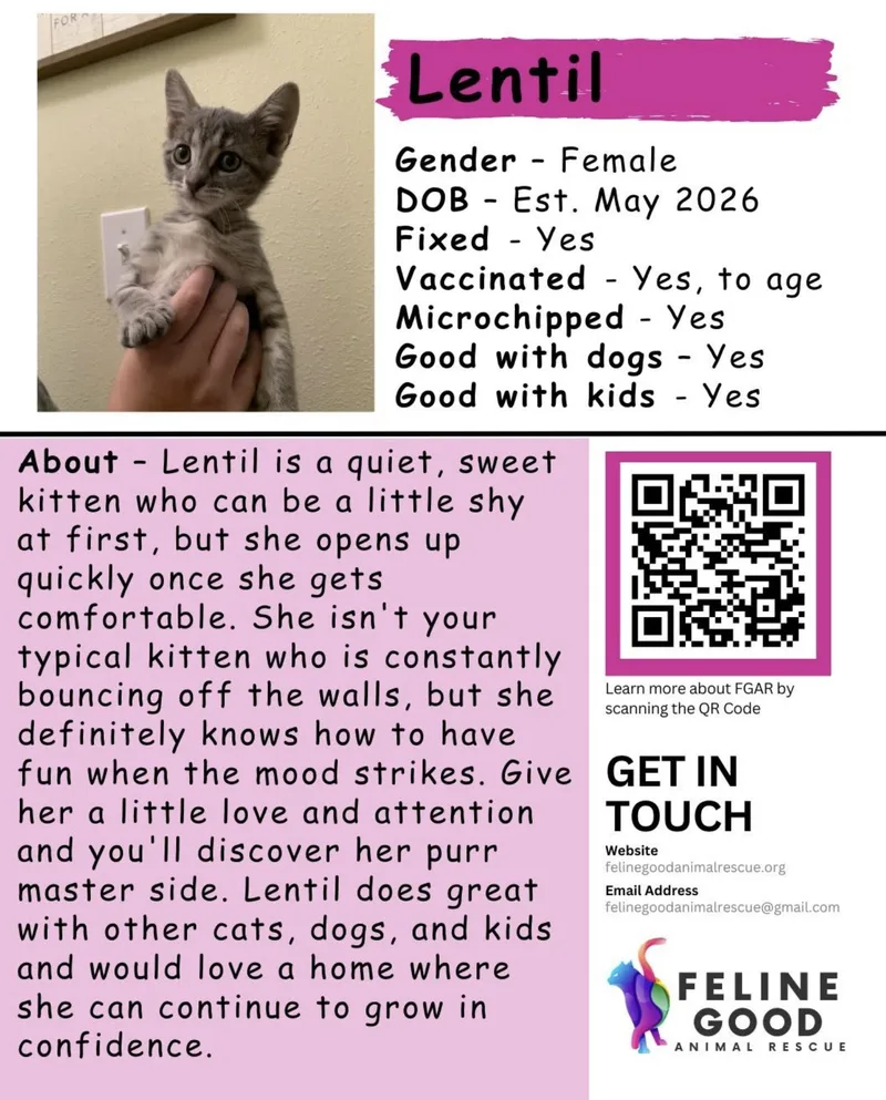 Lentil thumbnail 3