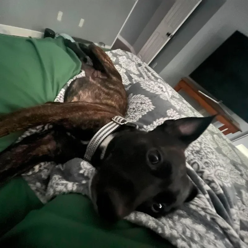 Aubrey thumbnail 5