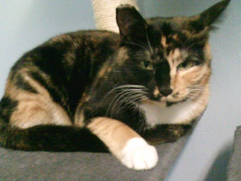 Daisy Mae thumbnail 3