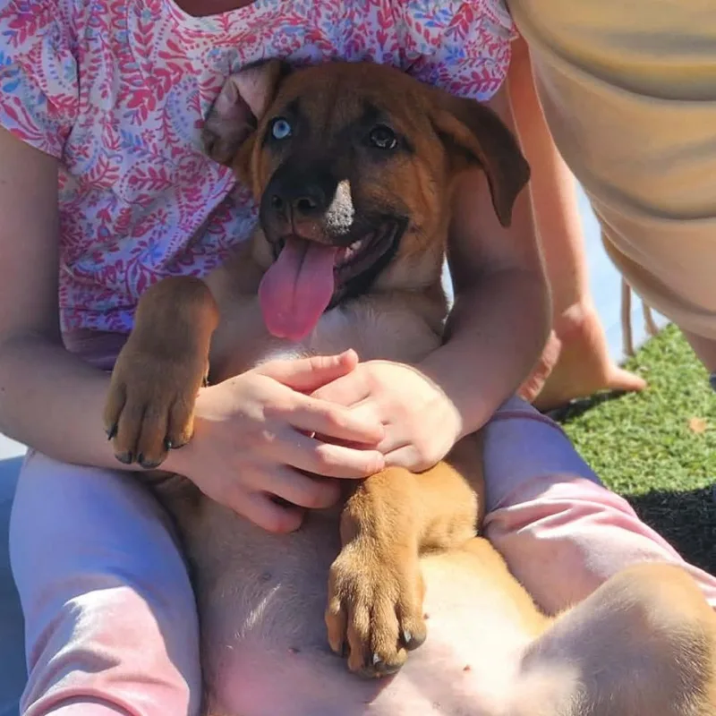 Cherie Al thumbnail 3