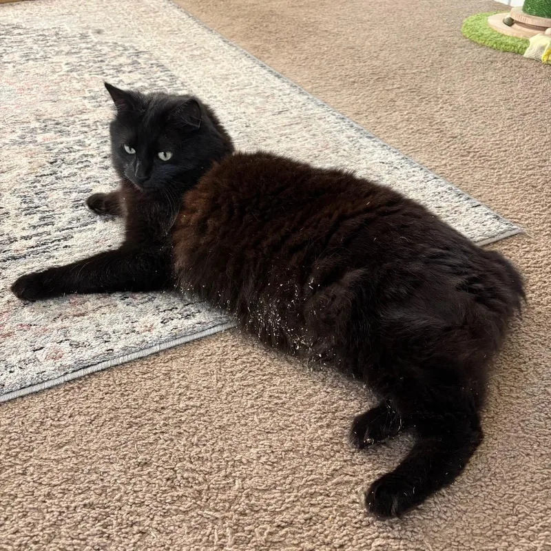 Mabel Anderson thumbnail 2