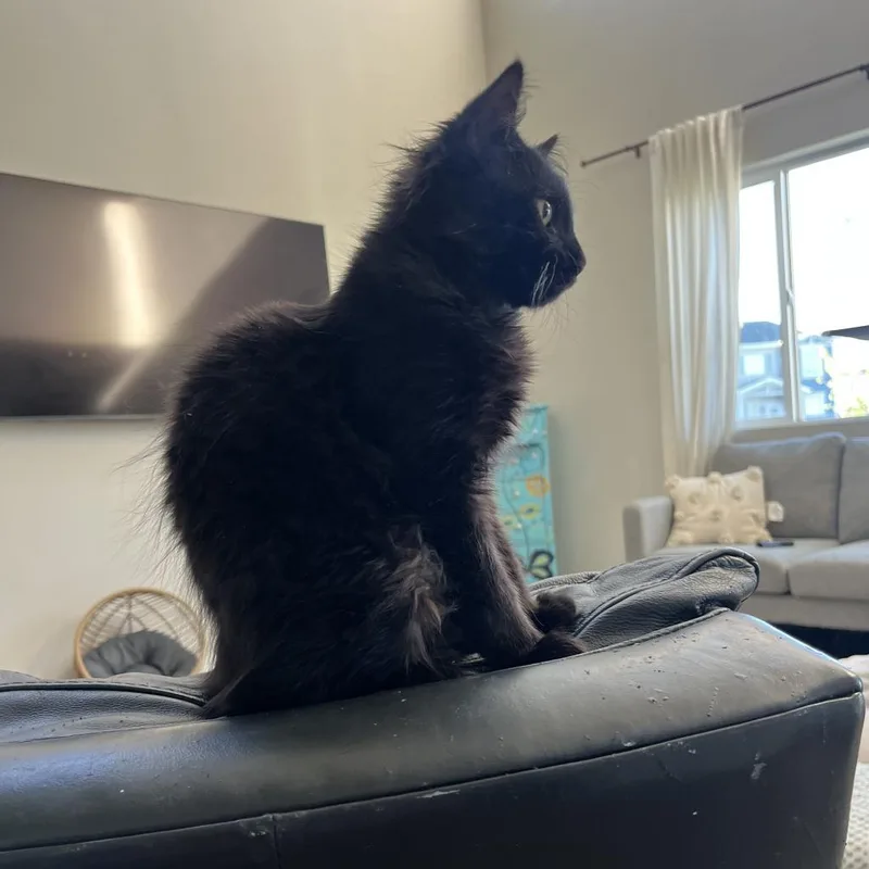 Mabel Anderson thumbnail 3