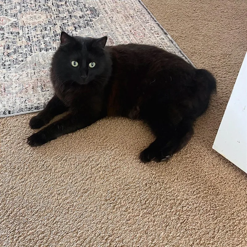 Mabel Anderson thumbnail 5