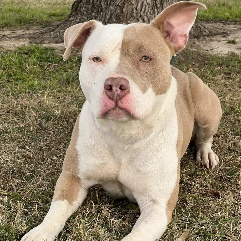 Zara Larsson thumbnail 2