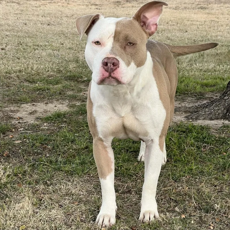 Zara Larsson thumbnail 3