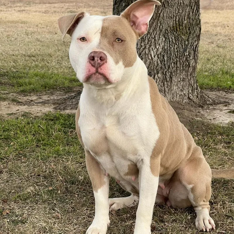 Zara Larsson thumbnail 4