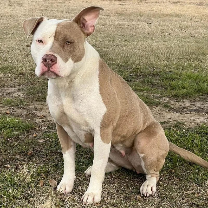 Zara Larsson thumbnail 5