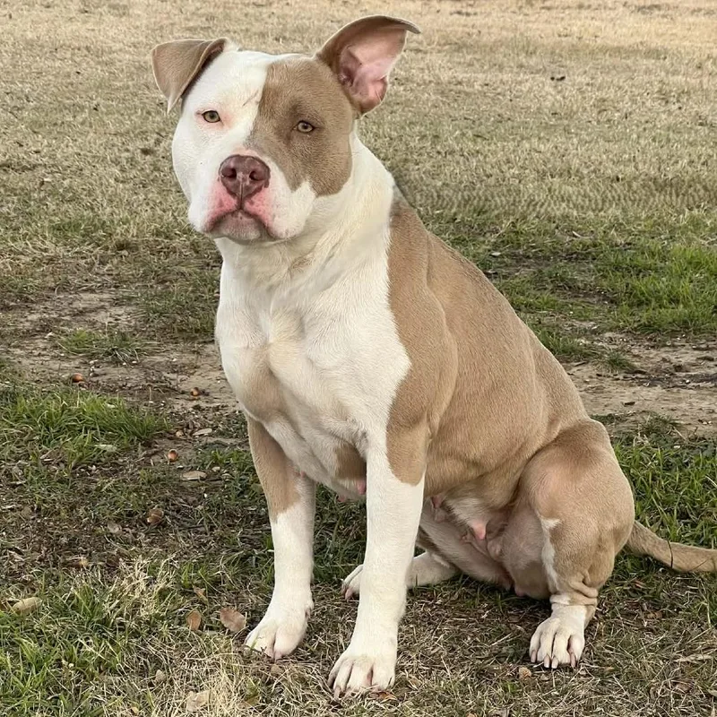 Zara Larsson thumbnail 6