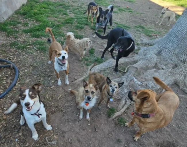 Supergirl thumbnail 2