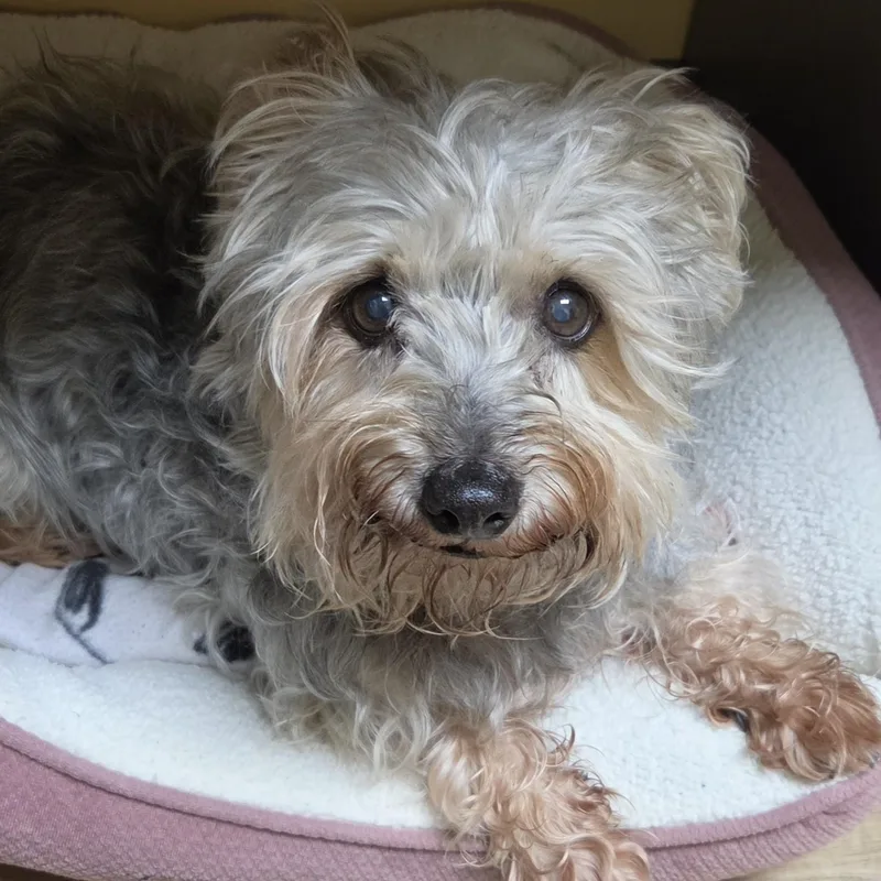 Little Bit thumbnail 2