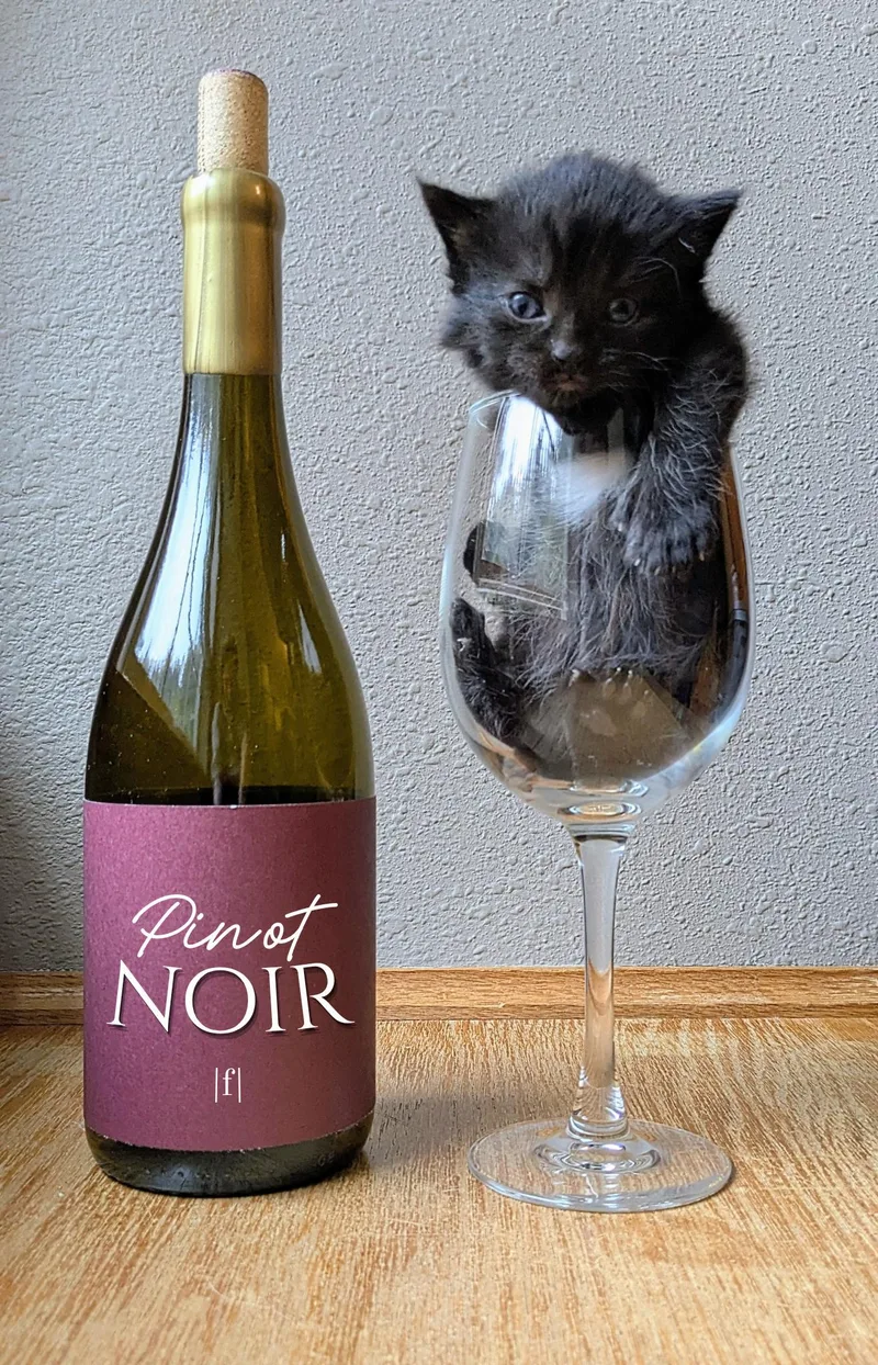 Pinot Noir thumbnail 4