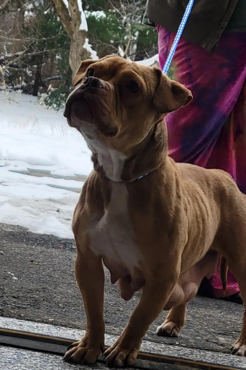 Cinnamon thumbnail 2