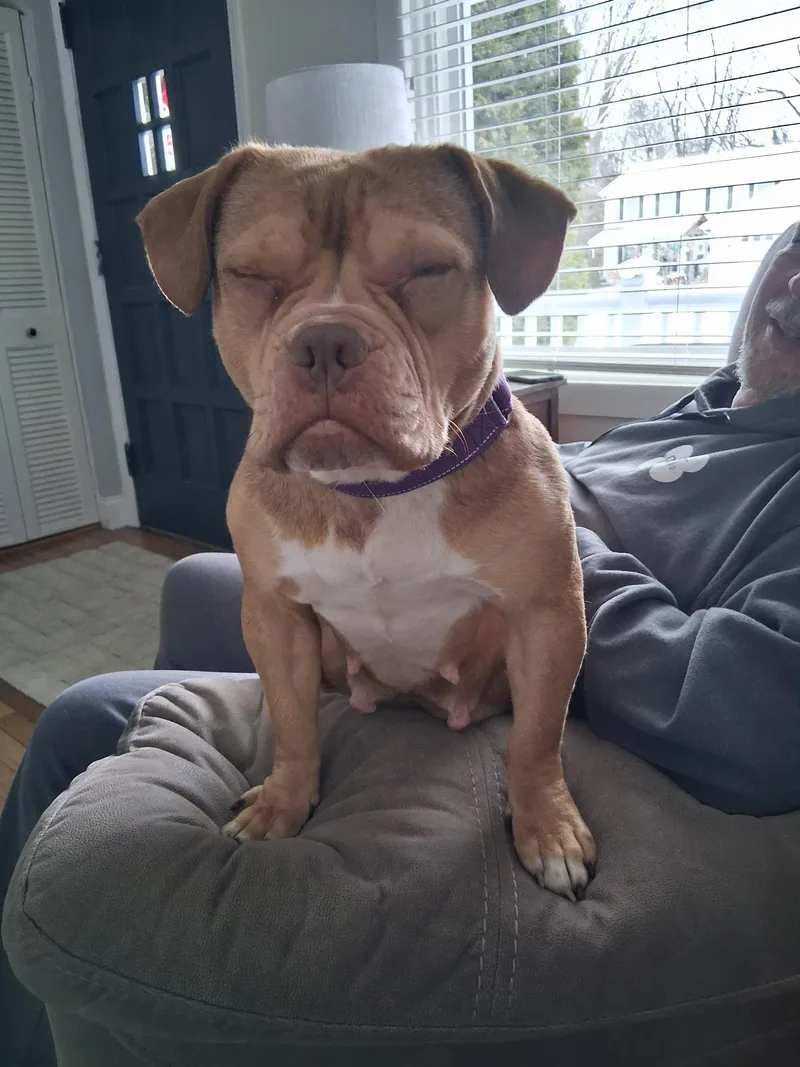 Cinnamon thumbnail 3