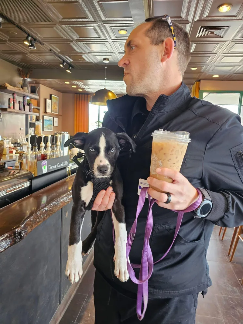 Bluebell thumbnail 2