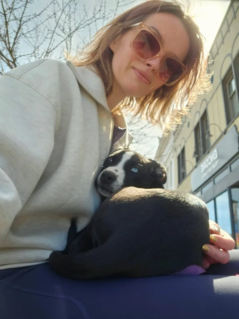 Bluebell thumbnail 5