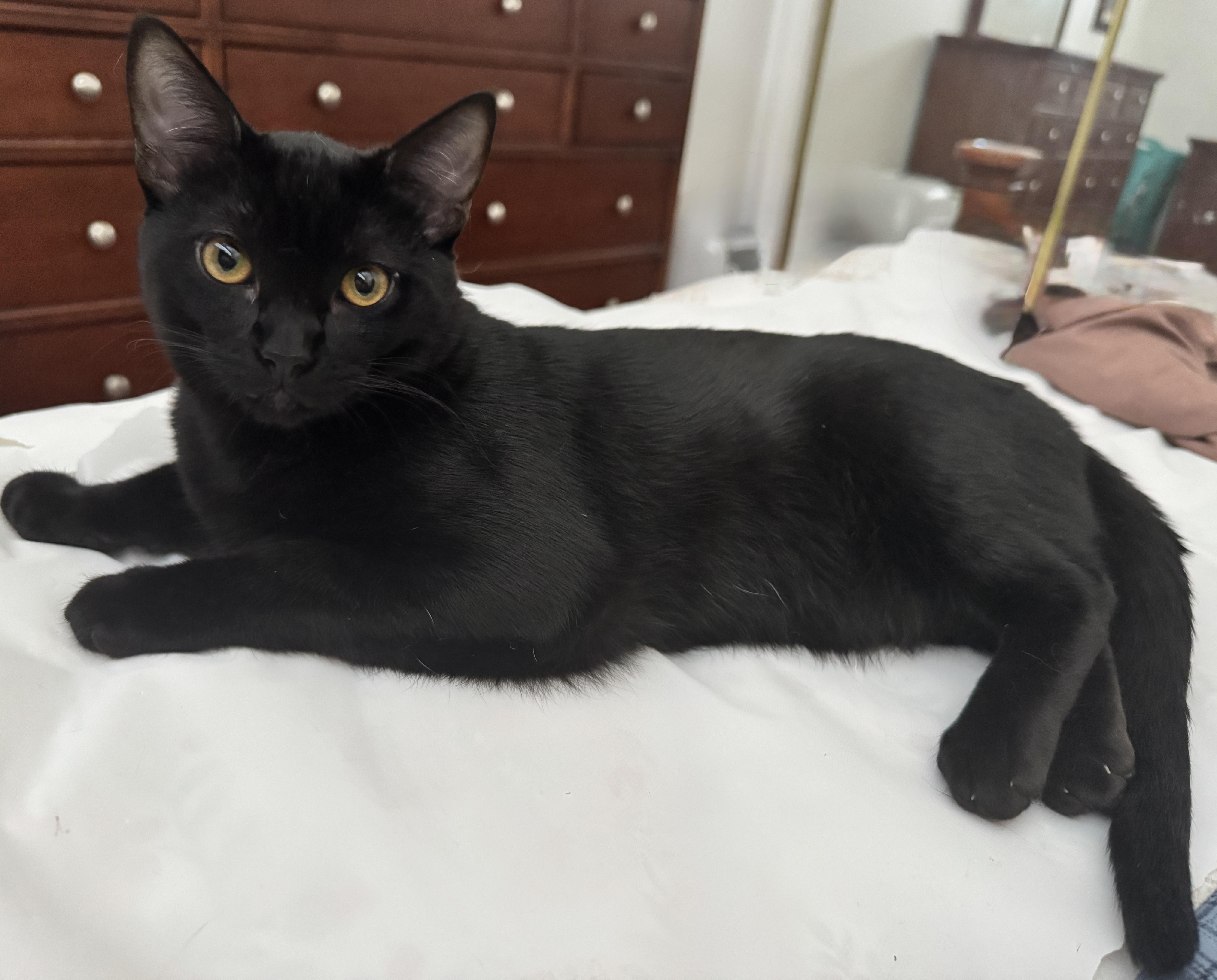 Storm And Shiloh thumbnail 2