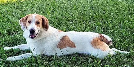 Gus