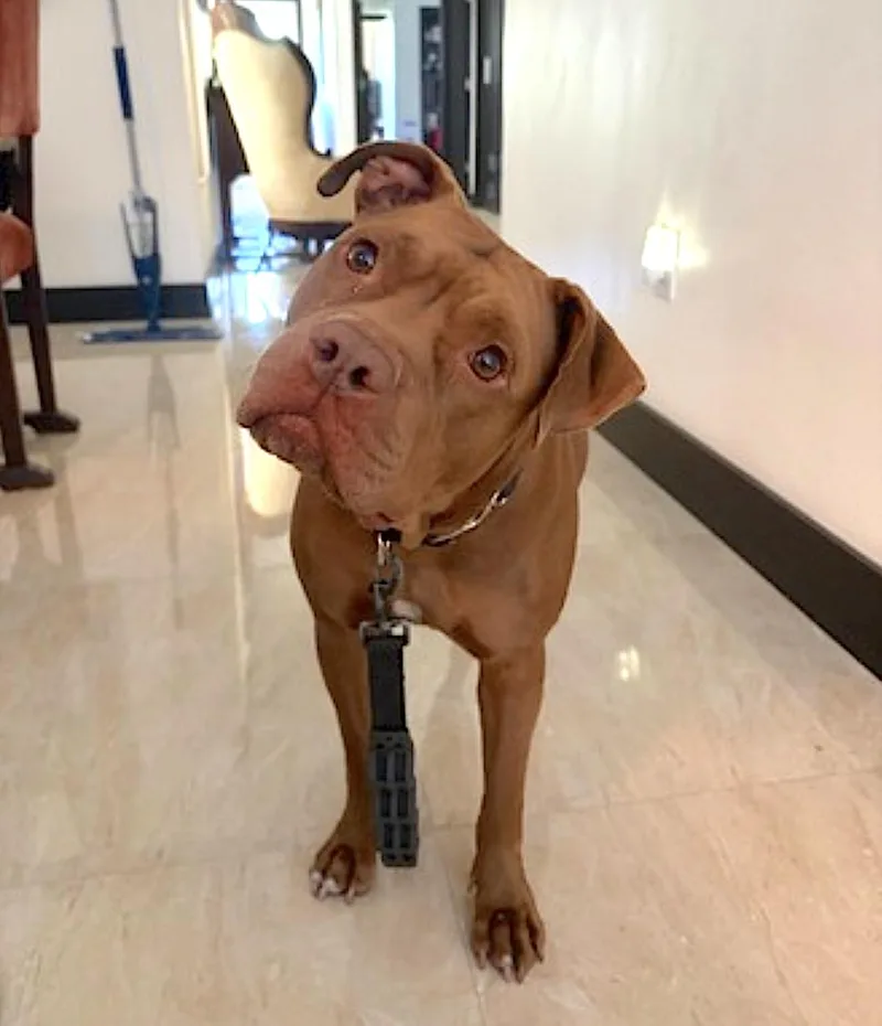 Coco