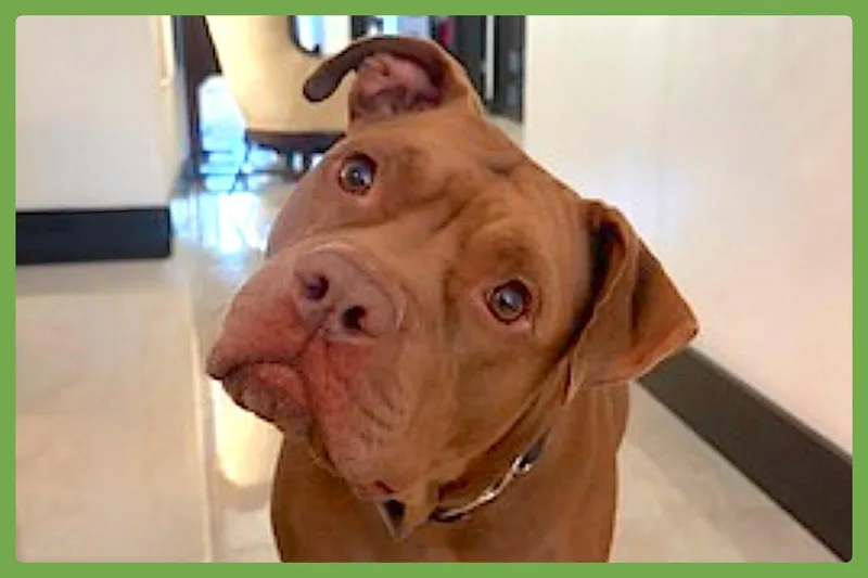 Coco thumbnail 2